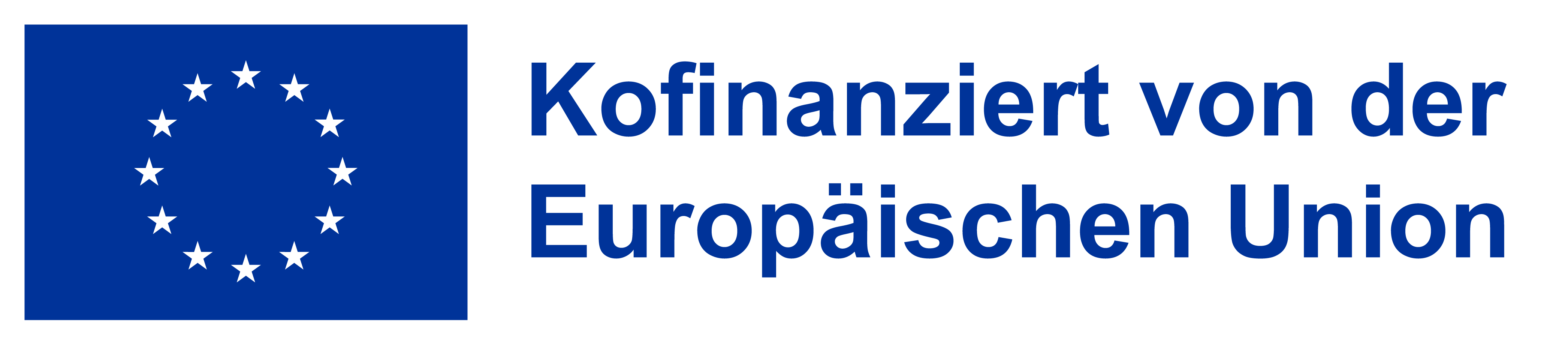 Logo Co-funded by the EU in German